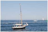 Gaffelkutter Hoffnung