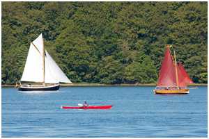 Buttjolle Minna Roeder