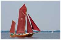 Zeesboot Seriola (FZ 41)