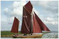 Zeesboot Godewind (FZ 86)