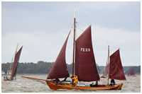 Zeesboot Stella (FZ 23)