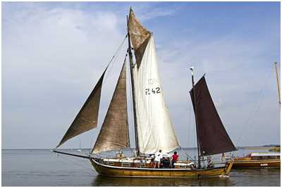 Zeesboot Sunddriewer (FZ 42)