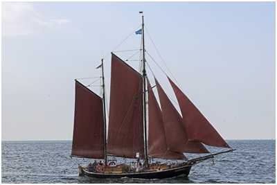 Zeesboot Elephant (STR 7)