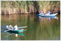 verschiedene Schiffe und Boote in Ägypten