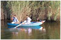 verschiedene Schiffe und Boote in Ägypten