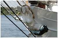 Brigg Aphrodite
